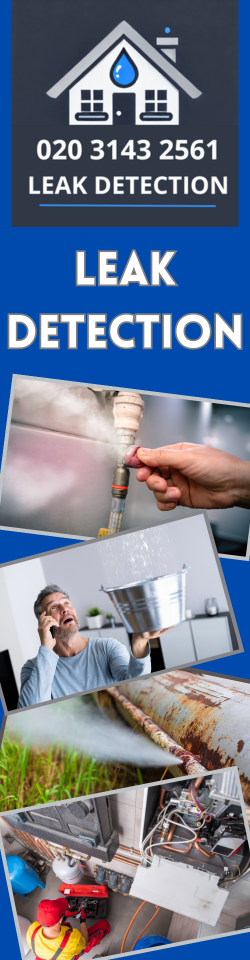 Belmontha7 Leak Detection