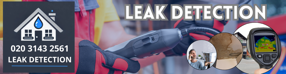 Belmontha7 Leak Detection